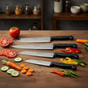 stainless steel J2 kiwi knife set 5 pcs best quality knife set - dolphin industry