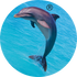 Dolphinindustries